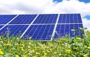 Four Solar | Cost Vs Savings | Solar Water Pump Systems 